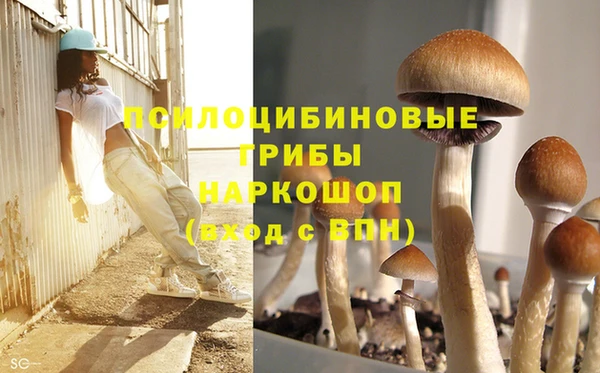 а пвп мука Алексеевка