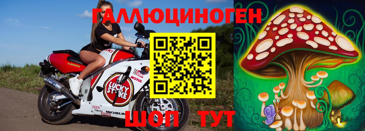 Геленджик  Галлюциногенные грибы мухоморы  Вход с VPN 