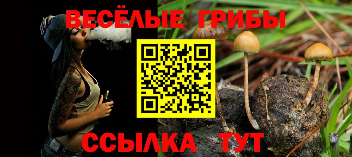 Псилоцибиновые грибы мухоморы Геленджик